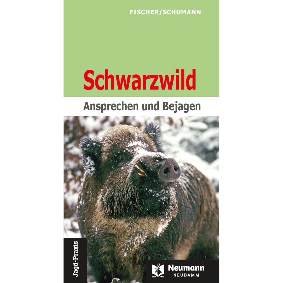 Schwarzwild - Ansprechen und Bejagen