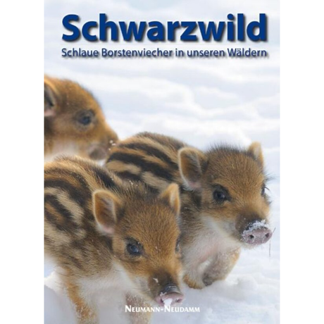 Schwarzwild - Bildband