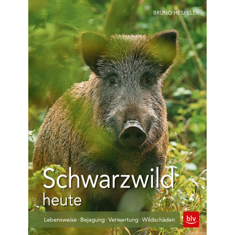 Schwarzwild heute - Lebensweise · Bejagung · Verwertung · Wildschäden von Bruno Hespeler