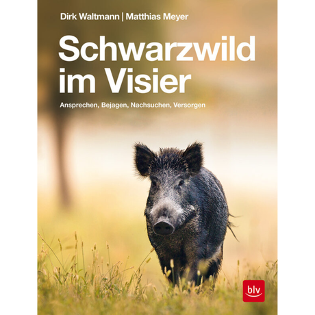Schwarzwild im Visier von Matthias Meyer und Dirk Waltmann