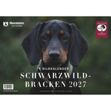 Schwarzwildbracken Kalender 2027