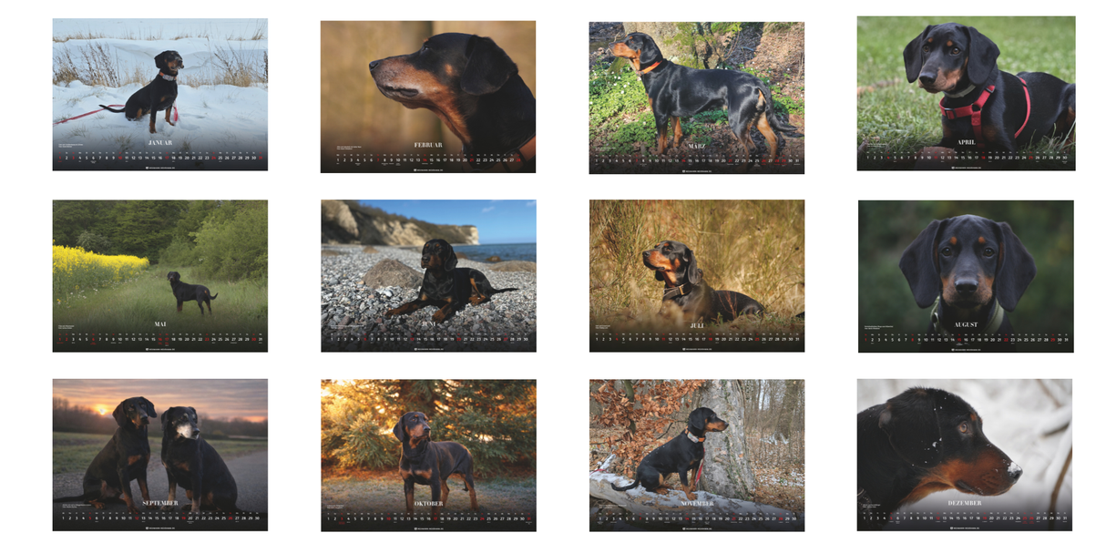 Schwarzwildbracken Kalender 2027 - Monatsübersicht