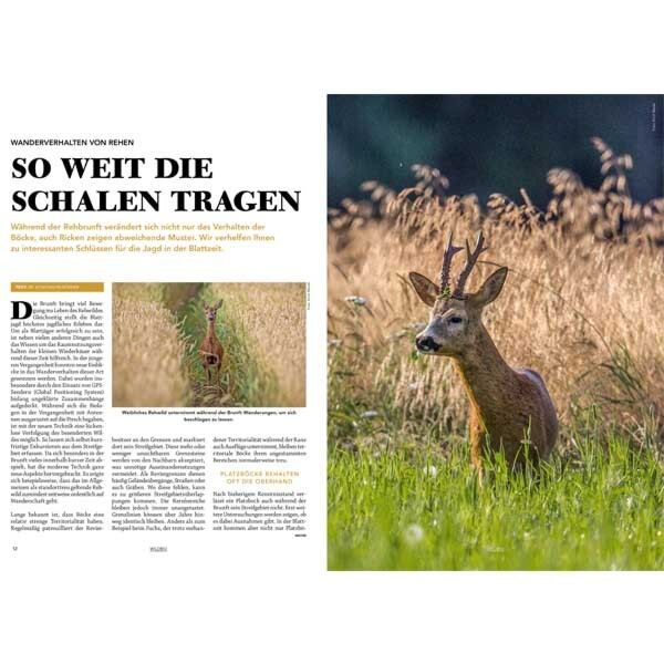Sonderheft Blattjagd