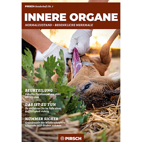 Sonderheft Innere Organe