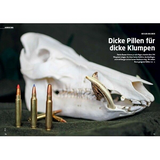 Sonderheft Keiler – Innenansicht 1