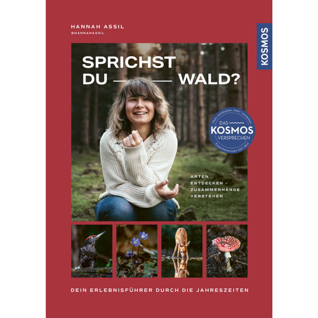 Sprichst du Wald? von Hannah Assil