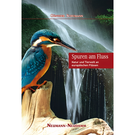 Spuren am Fluss Naturbildband