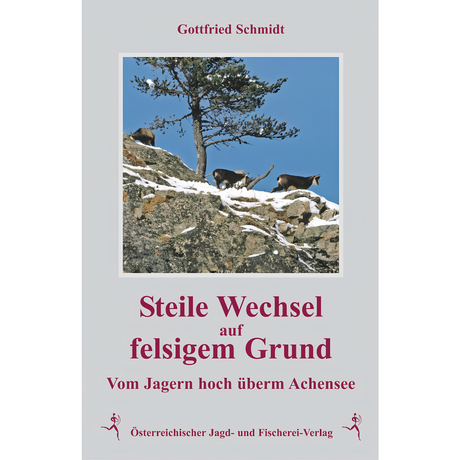 Steile Wechsel auf felsigem Grund - Vom Jagern hoch überm Achensee