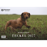 Teckel Kalender 2027