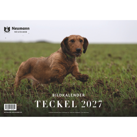 Teckel Kalender 2027