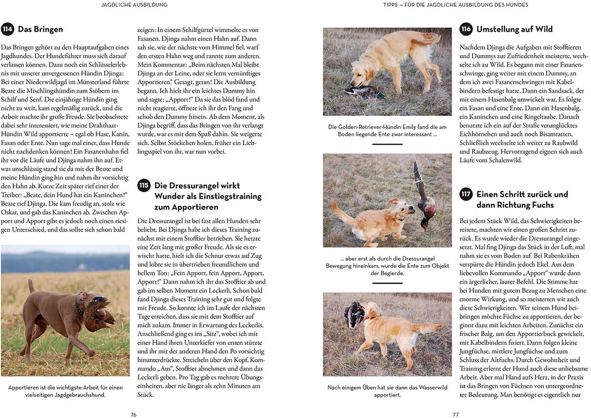 Tipps und Tricks fuer Hundefuehrer Innenansicht 