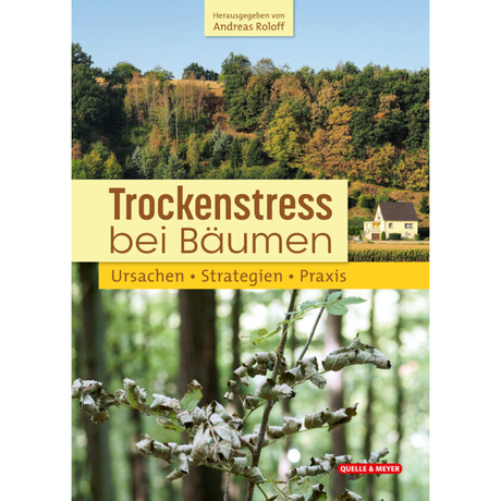 Trockenstress bei Bäumen - Ursachen • Strategien • Praxis