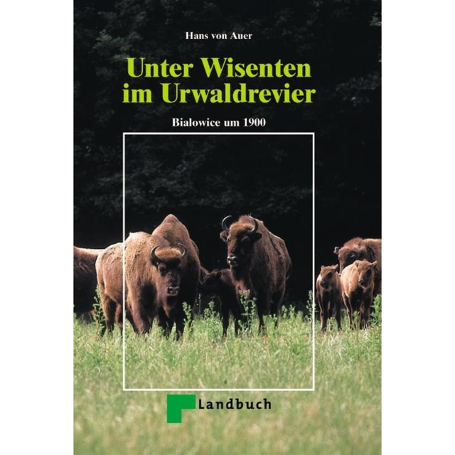 Unter Wisenten im Urwaldrevier – Bialowice um 1900