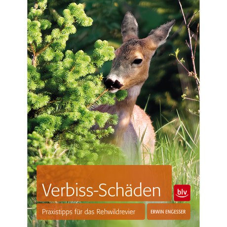 Verbiss-Schäden