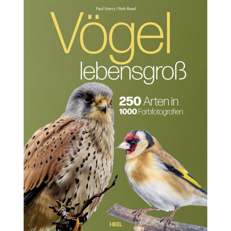 Vögel lebensgroß - 250 Arten in 1000 Farbfotografien. Vögel in Lebensgröße Bildband im Großformat