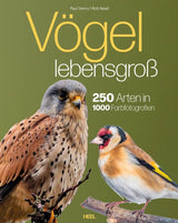 Buch Voegel Lebensgross Cover