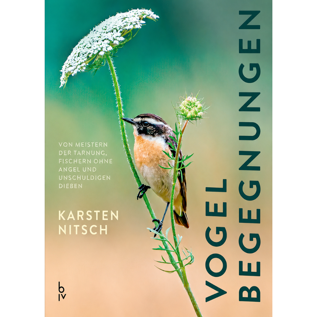 Vogelbegegnungen