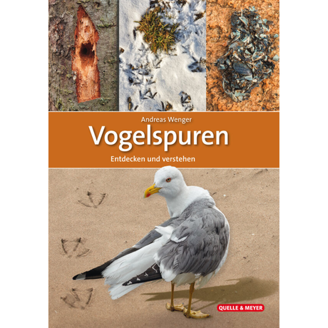 Vogelspuren - Entdecken und verstehen von Andreas Wenger