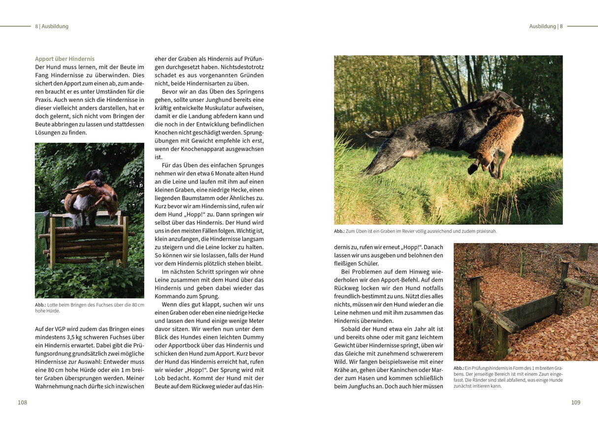 vollgebrauchshund innenansicht 3