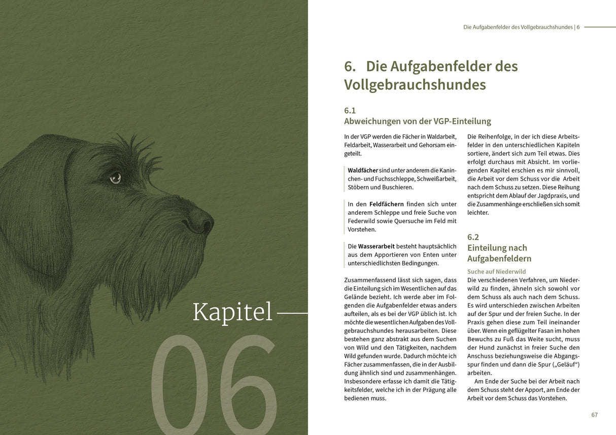 vollgebrauchshund innenansicht 1