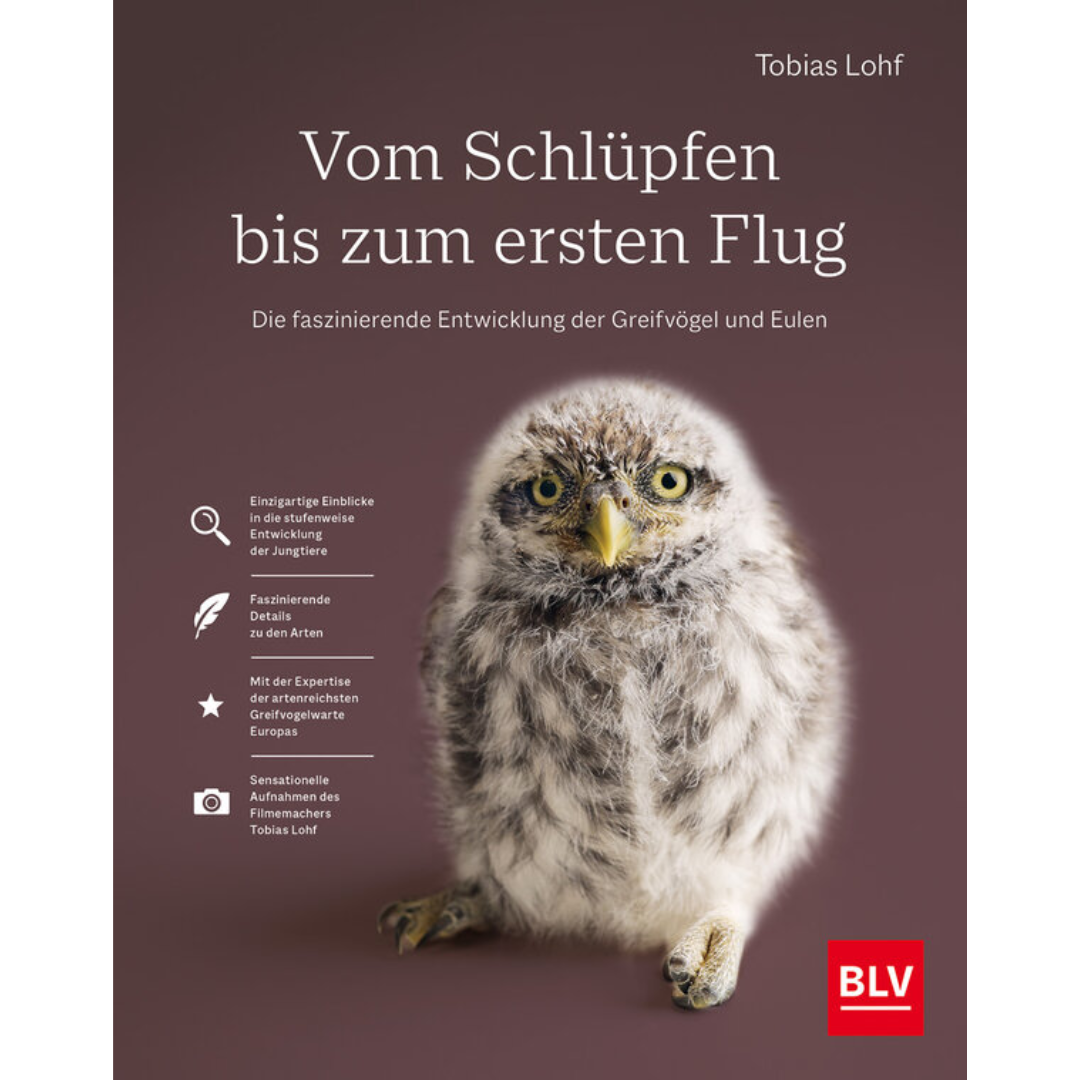 Vom Schlüpfen bis zum ersten Flug - Die faszinierende Entwicklung der Greifvögel und Eulen von Tobias Lohf