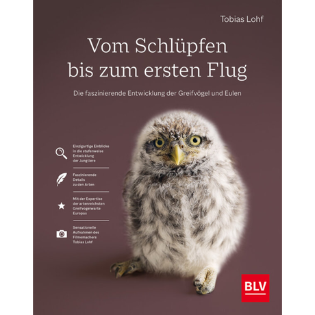 Vom Schlüpfen bis zum ersten Flug - Die faszinierende Entwicklung der Greifvögel und Eulen von Tobias Lohf
