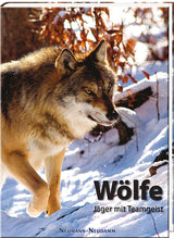 Wölfe - Jäger mit Teamgeist