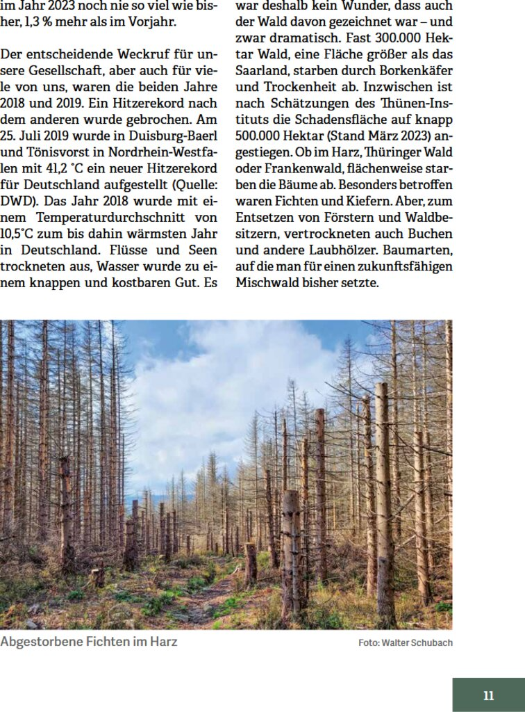Wald im Wandel - Innenansicht