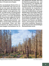 Wald im Wandel - Innenansicht