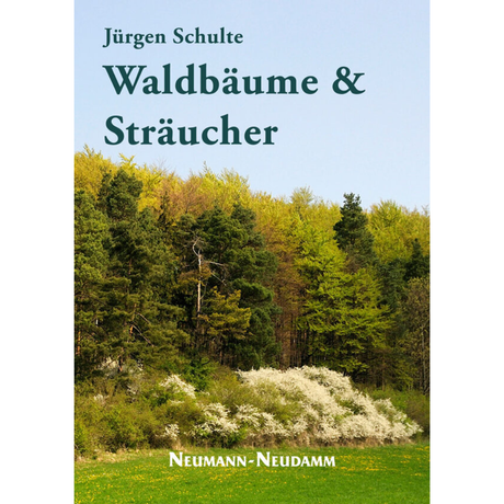 Waldbäume und Sträucher - Jürgen Schulte