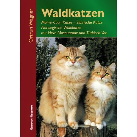 Waldkatzen – Maine-Coon Katze, Sibirische Katze, Norwegische Waldkatze mit Neva Masquarade und Türkisch Van