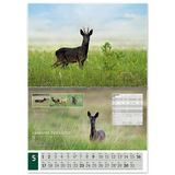 Wandkalender UNSERE JAGD 2027 - Mai