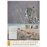 Wandkalender UNSERE JAGD 2027 - Januar