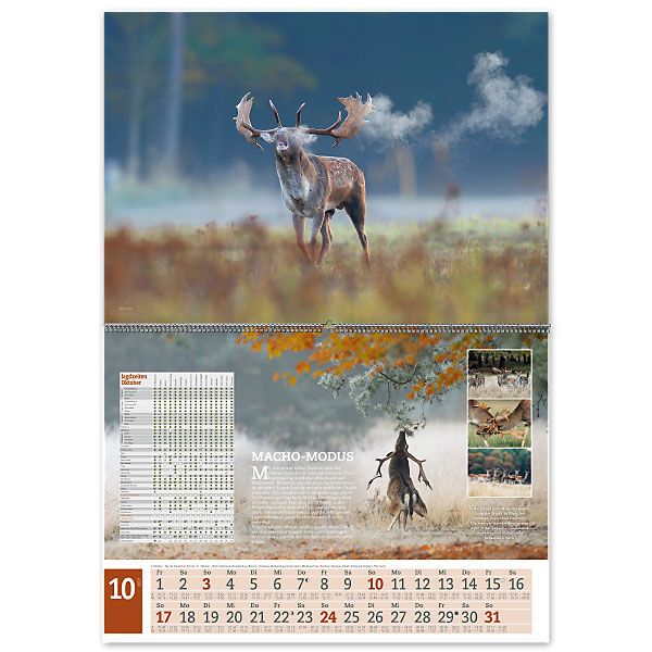 Wandkalender UNSERE JAGD 2027 - Oktober