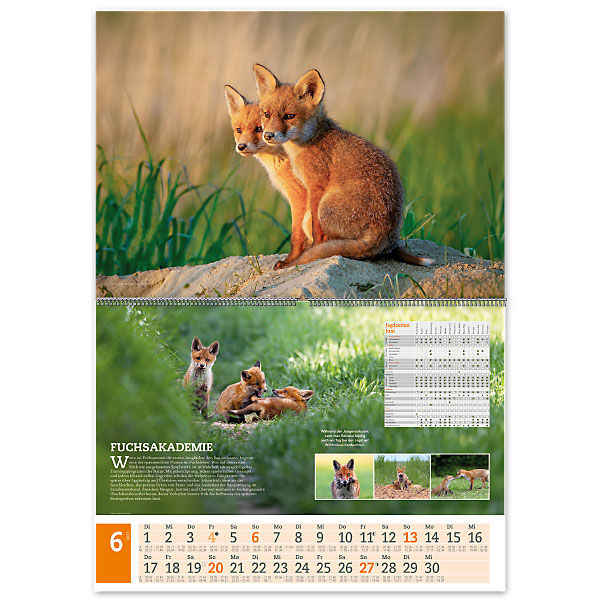 Wandkalender UNSERE JAGD 2027 - Juni