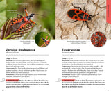 Wanze bestimmung Buch