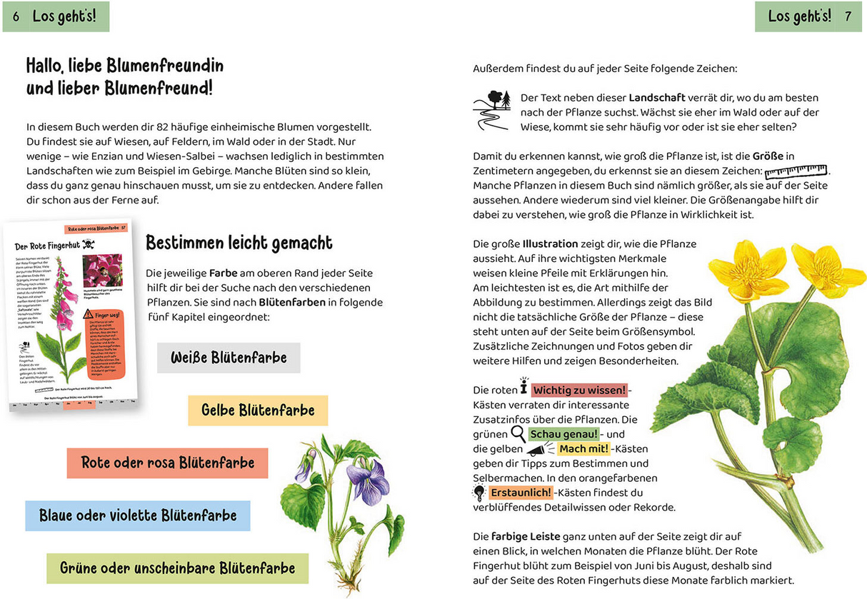 Was blüht denn da? Kindernaturführer - Einführung
