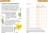 Was blüht denn da? Kindernaturführer - Blühkalender