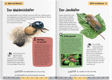 Was krabbelt denn da? Kindernaturführer - Käfer und Wanzen