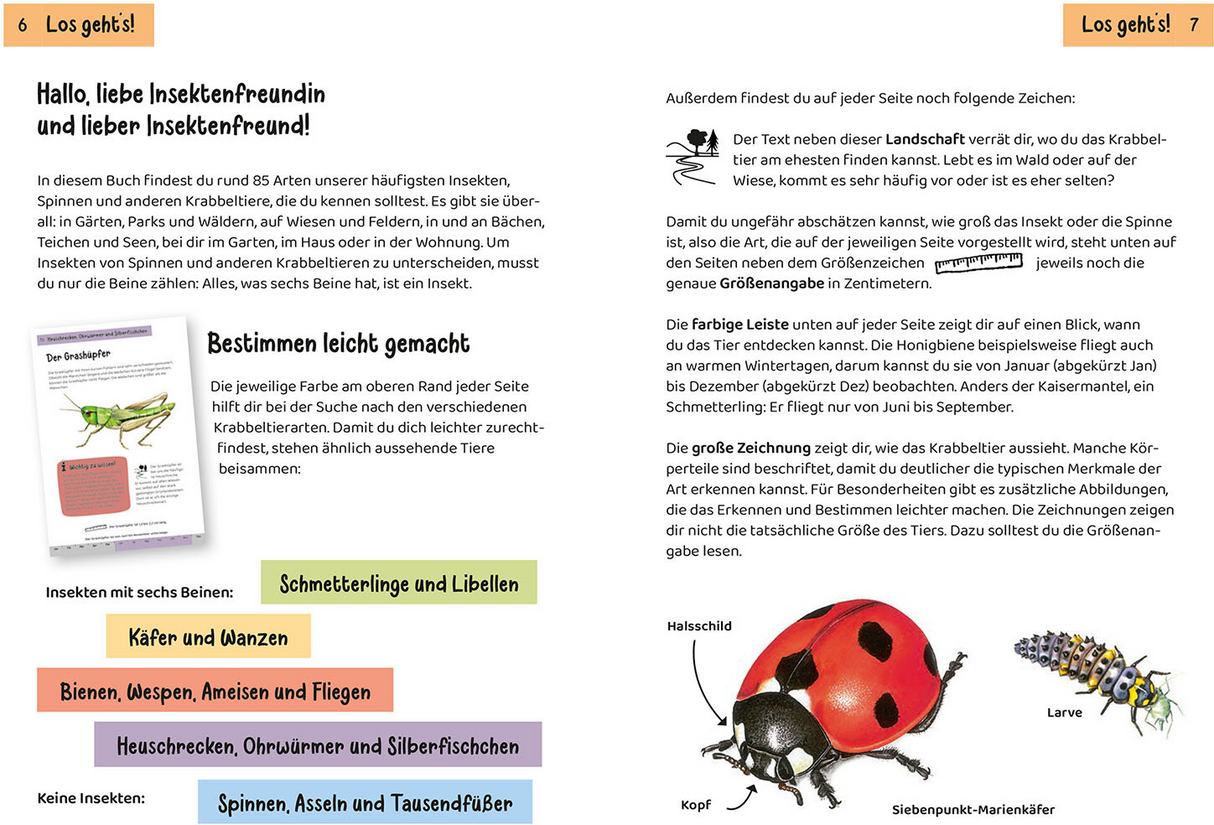 Was krabbelt denn da? Kindernaturführer - Einführung
