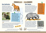 Was lebt im Wald? Kindernaturführer - Säugetiere