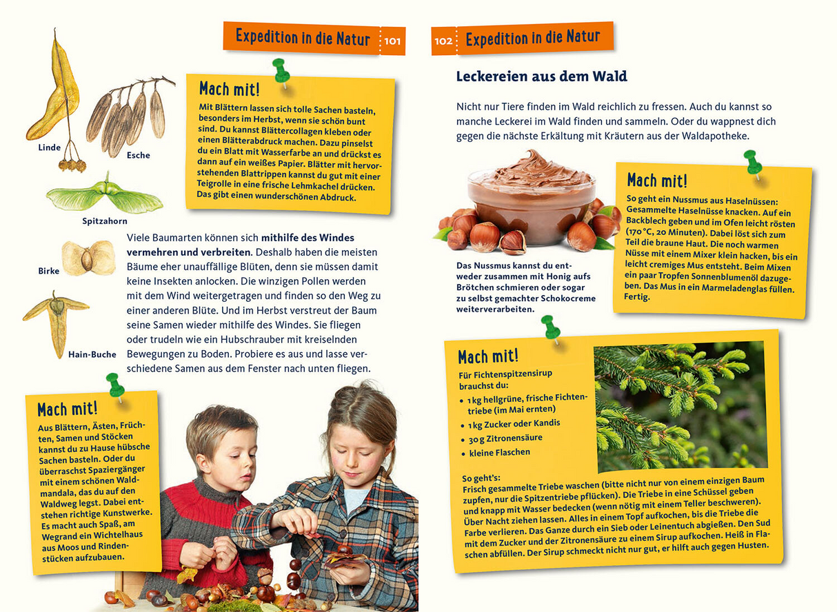 Was lebt im Wald? Kindernaturführer - Mitmach Ideen
