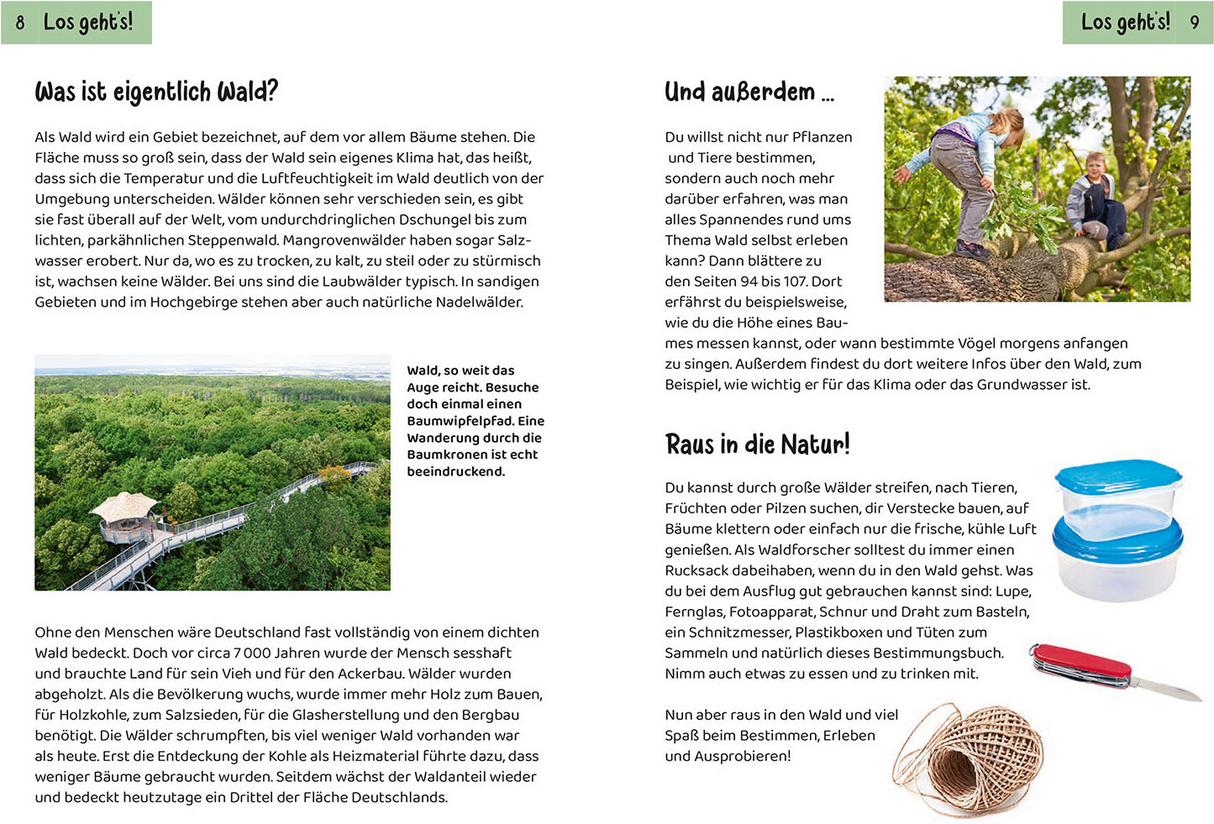 Was lebt im Wald Kindernaturfuehrer Innenansicht