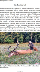 Weidwerk im Baltikum und in heimischen Revieren - Innenansicht 2