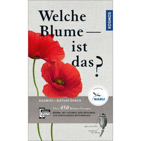 Welche Blume ist das?