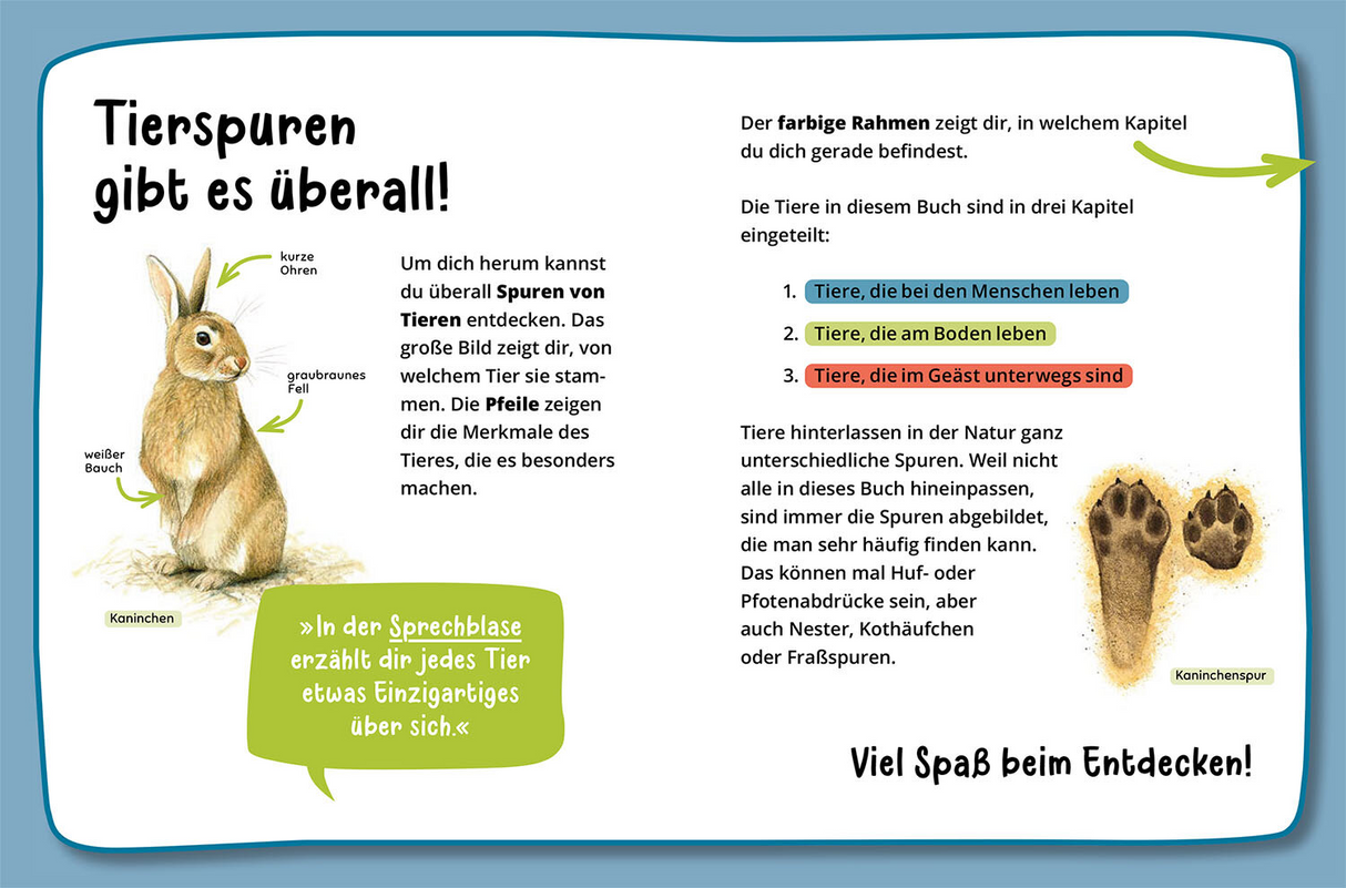 Mein erster Naturführer, Welche Tierspur ist das? - Tierspuren