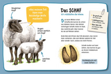 Mein erster Naturführer, Welche Tierspur ist das? - Das Schaf