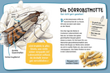 Mein erster Naturführer, Welche Tierspur ist das? - Die Dörrobsmotte