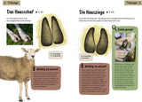Welche Tierspur ist das? Kindernaturführer - Trittsiegel