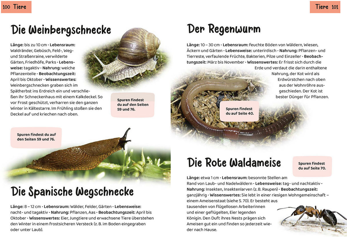 Welche Tierspur ist das? Kindernaturführer - Tiere